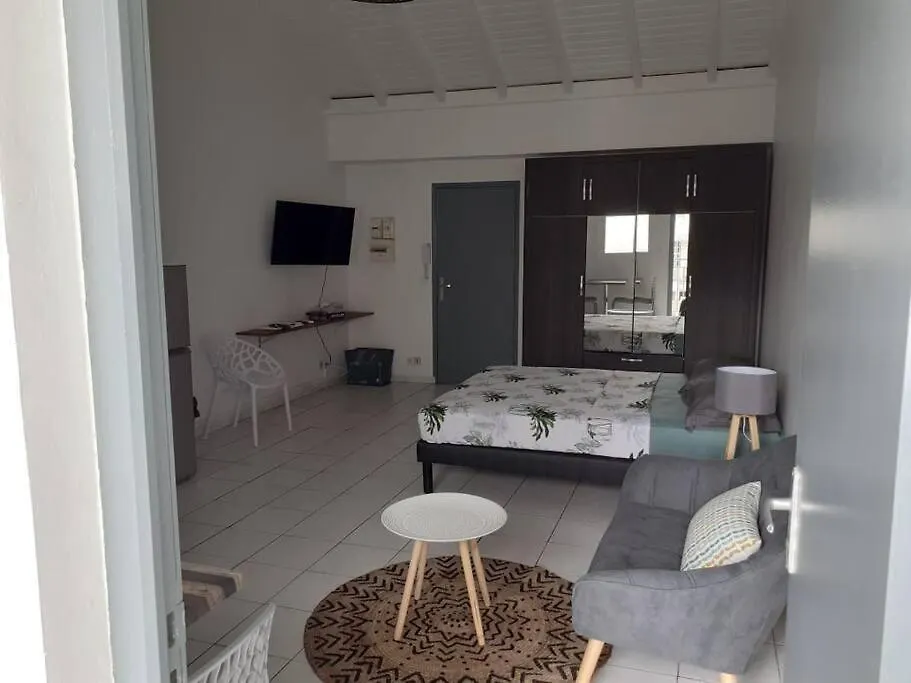 Sejour D'Affaires Ou De Loisirs A Pointe A Pitre Appartement