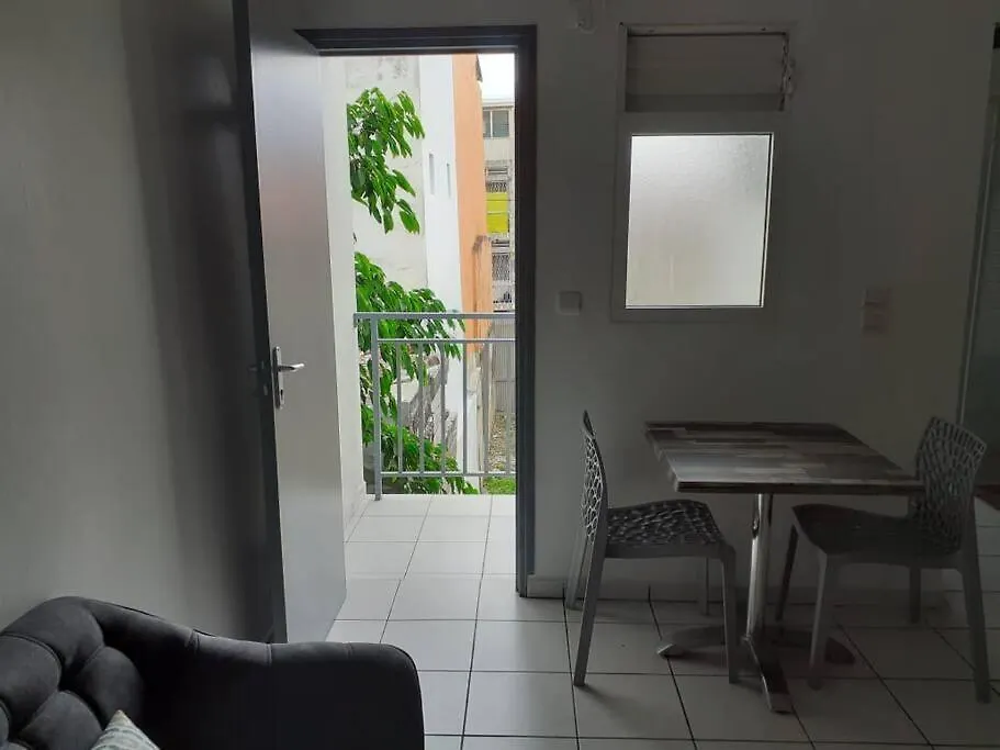 Sejour D'Affaires Ou De Loisirs A Pointe A Pitre Appartement