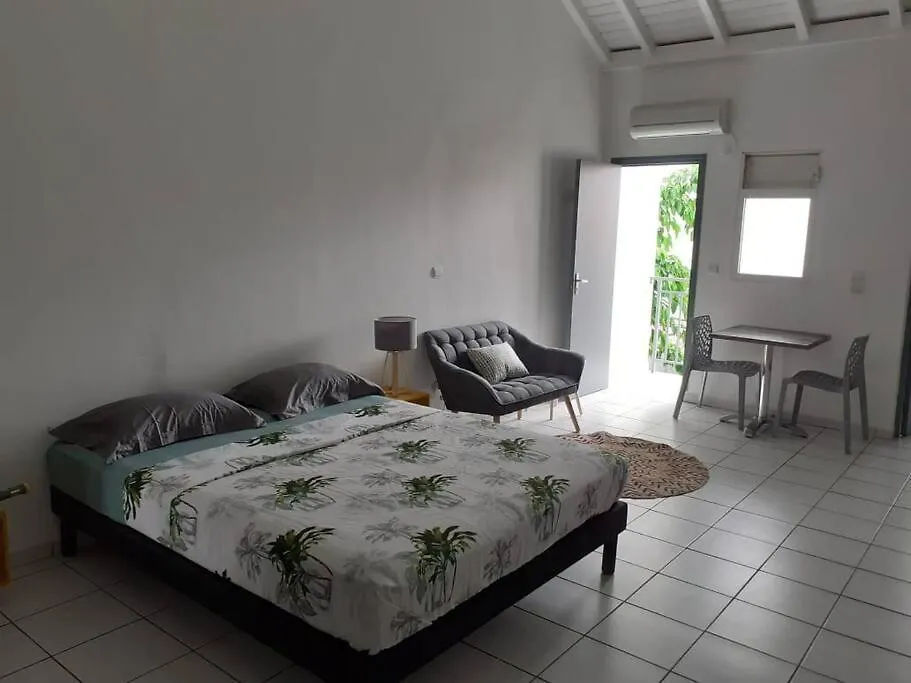 Sejour D'Affaires Ou De Loisirs A Pointe A Pitre Appartement