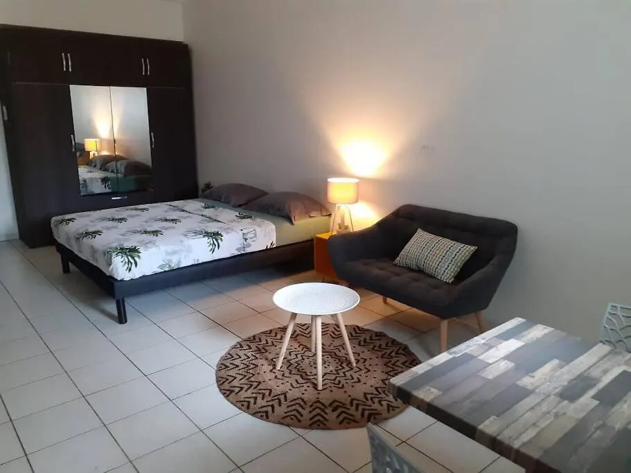 Sejour D'Affaires Ou De Loisirs A Pointe A Pitre Apartment Guadeloupe